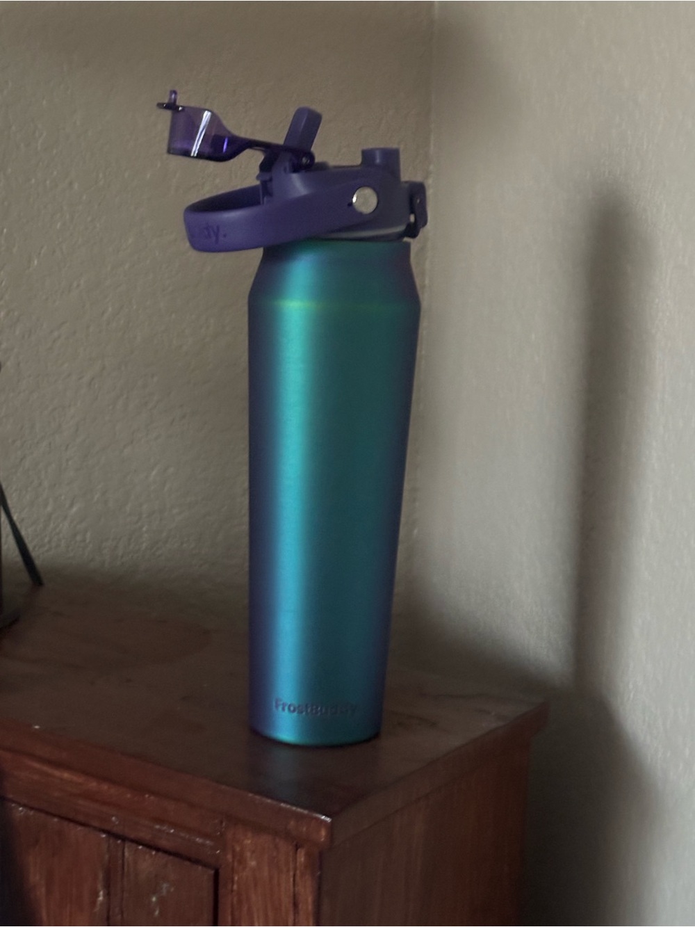 Frost Buddy Bottle Buddy 32 dark aurora